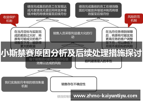 小斯禁赛原因分析及后续处理措施探讨