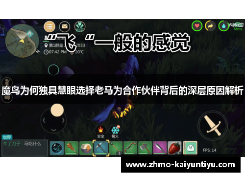 魔鸟为何独具慧眼选择老马为合作伙伴背后的深层原因解析