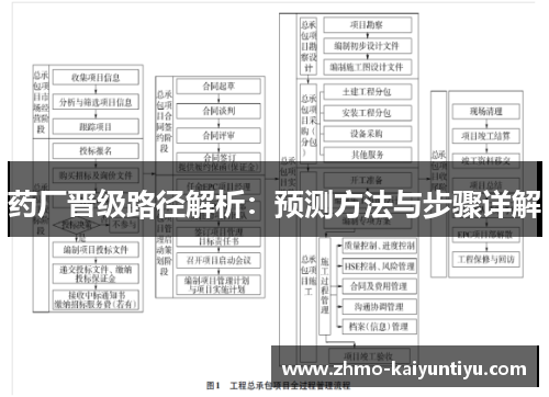 药厂晋级路径解析：预测方法与步骤详解